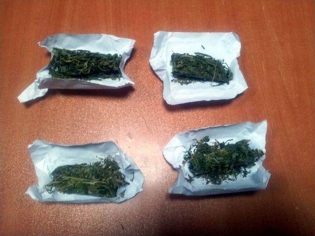 Üniversitelileri Zehirleme Timi Yakalandı 1