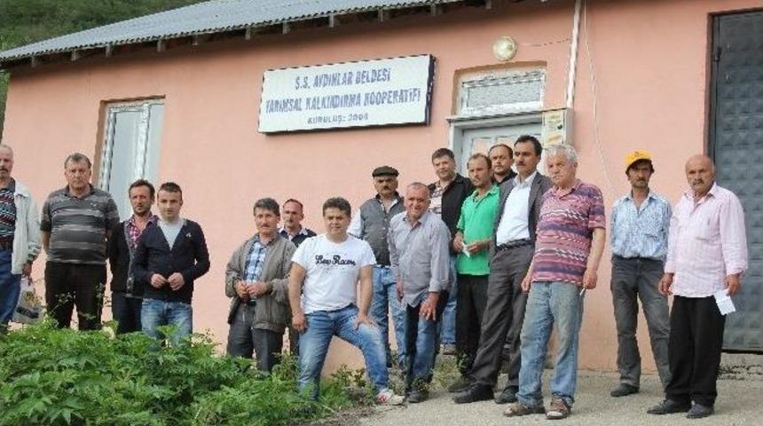 "kalkınacağız" Derken, İcralık Oldular