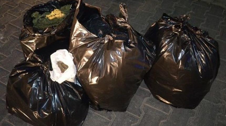 Zehir Tacirlerine Darbe