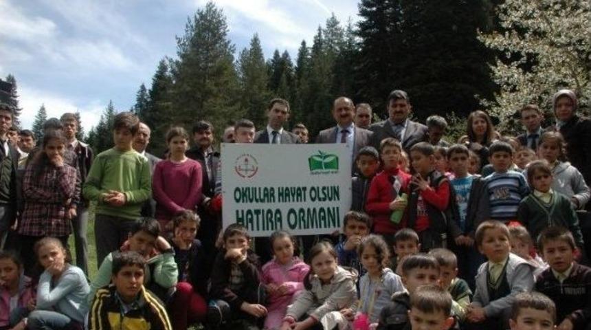 K&uuml;re'de Okul Bah&ccedil;esine 600 Fidan Dikildi