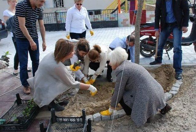 Didim’de 1001 Sevgi Gönüllüleri Parkında Çiçek Dikimi 1