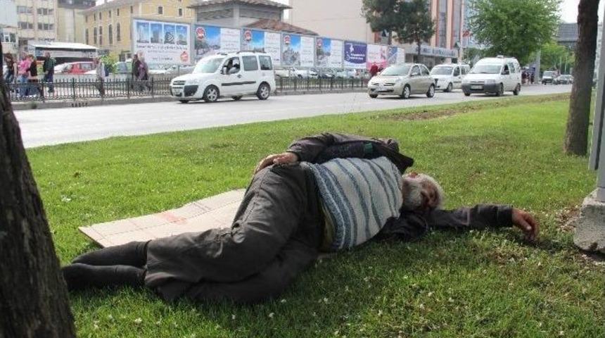 Yol Ortasında Uyuya Kaldı, Polisi Alarma Ge&ccedil;irdi