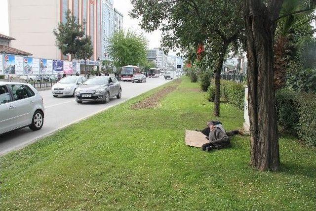 Yol Ortasında Uyuya Kaldı, Polisi Alarma Geçirdi 1