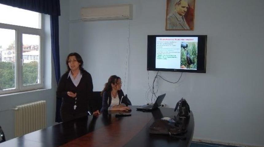 Toplum Sağlığı Merkezinden Kene Uyarısı