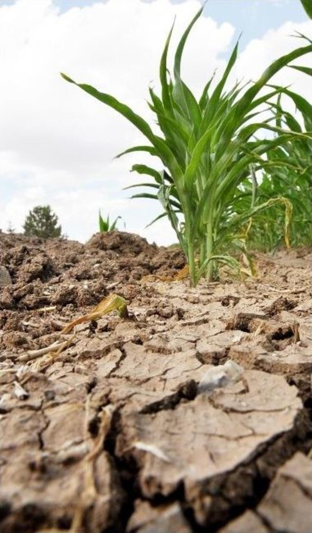 (&ouml;zel Haber) Kuraklık G&ouml;&ccedil;&uuml; Artırınca G&ouml;let &Ccedil;alışması Başlatıldı
