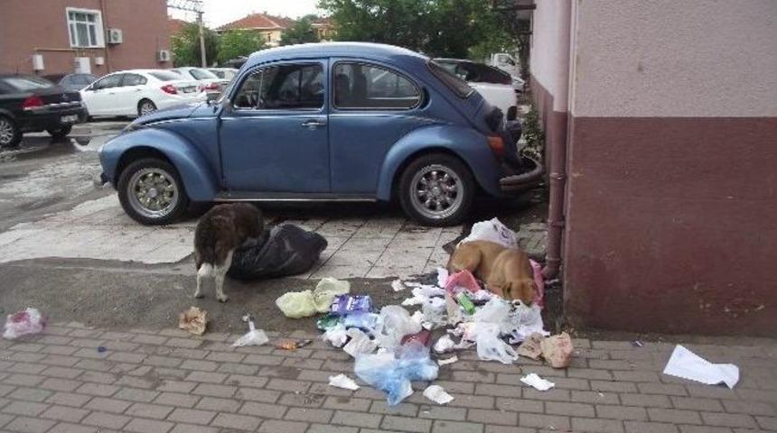 Yeni &Ccedil;&ouml;p Toplama Sistemi Başarısız Oldu
