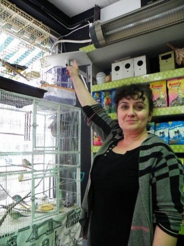 2 Suriyeli Pet Shop taki Kuşu Çaldı, Böyle Kaçtı 1
