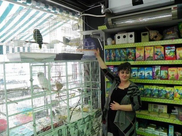2 Suriyeli Pet Shop taki Kuşu Çaldı, Böyle Kaçtı 2