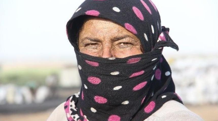 (&ouml;zel Haber) Mangal K&ouml;m&uuml;r&uuml;n&uuml;n Ağır İş&ccedil;isi Anne