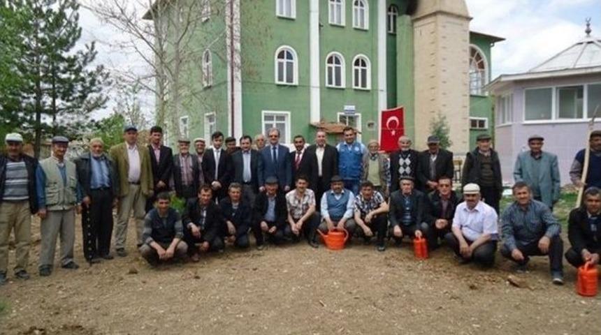 Beşkarış Camii Bah&ccedil;esine Fidan
