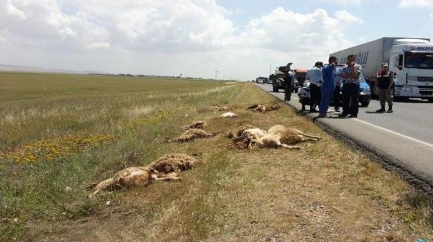 Kızıltepe&rsquo;de &Ccedil;oban Ve S&uuml;r&uuml;s&uuml;n&uuml; Ezen Kamyon Şof&ouml;r&uuml; Teslim Oldu