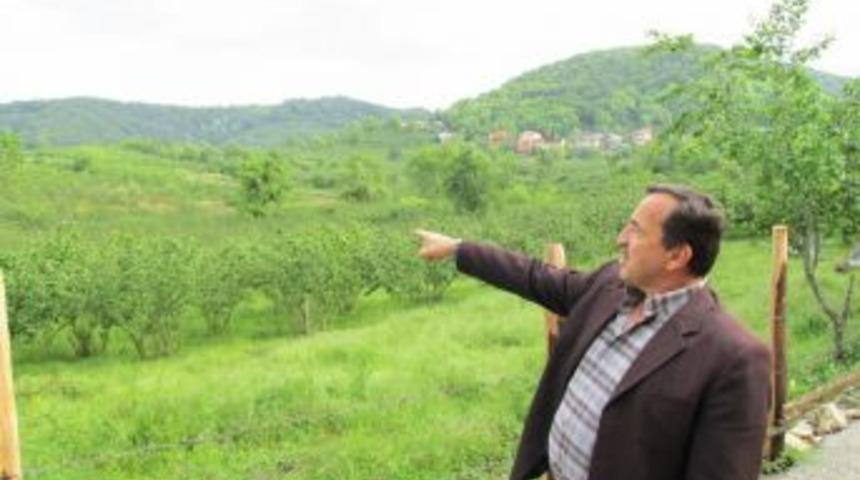 Fındıktaki zararını Tarım Sigortası karşılayacak