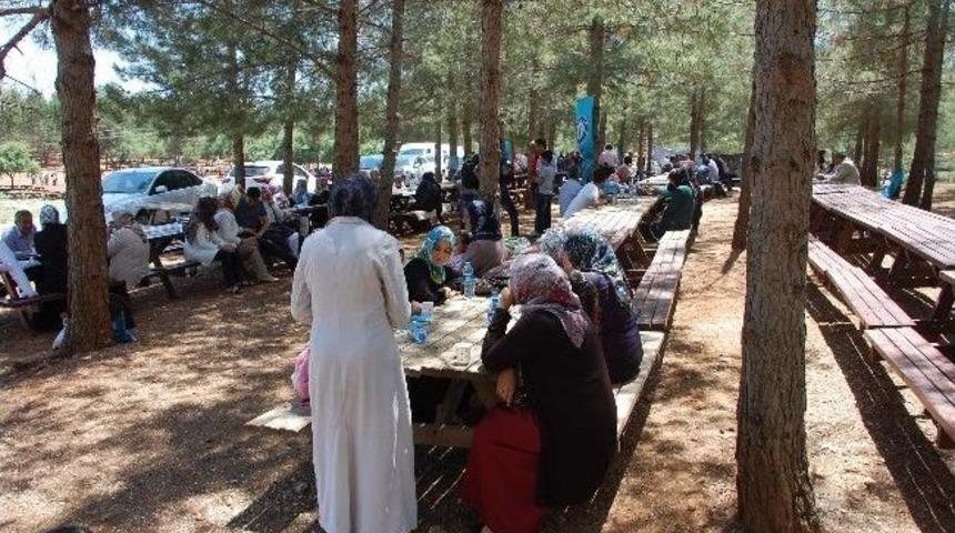 Sağlık-sen &Uuml;yeleri Piknikte Buluştu