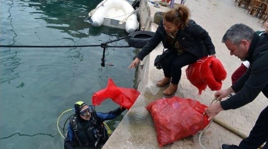 Dat&ccedil;a Belediyesi&rsquo;nden Deniz Dibi Temizliği