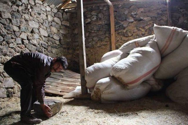 K&ouml;yl&uuml;lerin Taş Kabusu Geri D&ouml;nd&uuml; 1