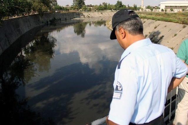 Polisin Ölü Balık Nöbeti