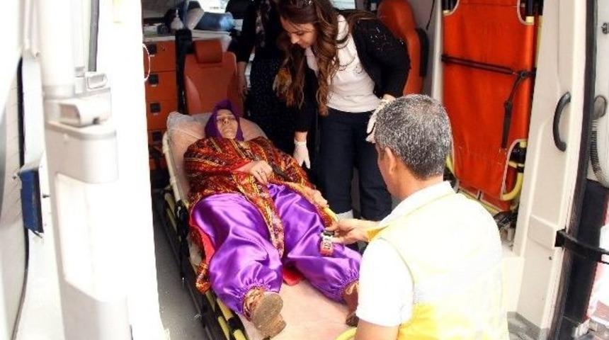Deveden D&uuml;şen Kadın Hastanelik Oldu