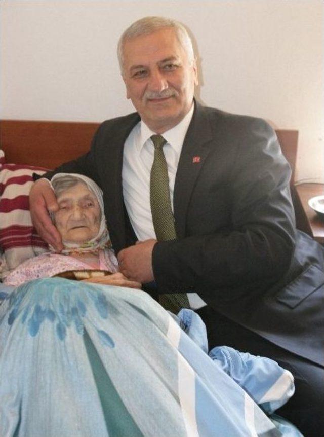 Asırlık Nineler