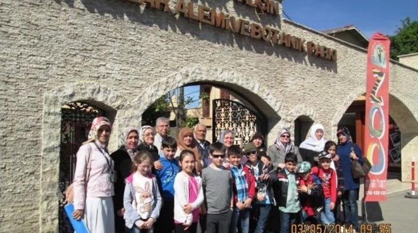 'dedem Ninem Ve Ben' Projesi Amacına Ulaştı