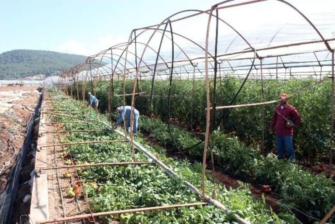 Antalya&rsquo;da Hortum Seralara Zarar Verdi