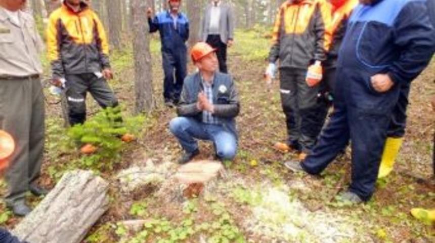 Koyulhisar&rsquo;da D&uuml;zenlenen Ormancılık Kursu Sona Erdi