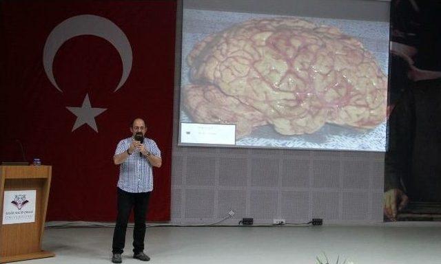 Beynin De Cinsiyetleri Var 1