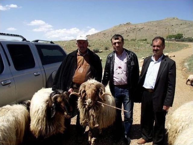 Hayvan Yetiştiricilerine Dap Hibe Desteği Anlatıldı 1