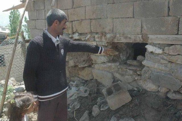 Hakkari de Başıboş K&ouml;pek Dehşeti 1