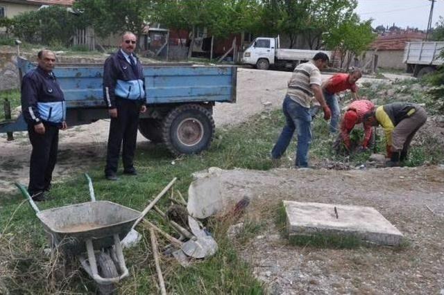 Seyitgazi de G&ouml;r&uuml;nt&uuml;l&uuml; Kirliliği Oluşturan Yabani Otlar Temizleniyor 1