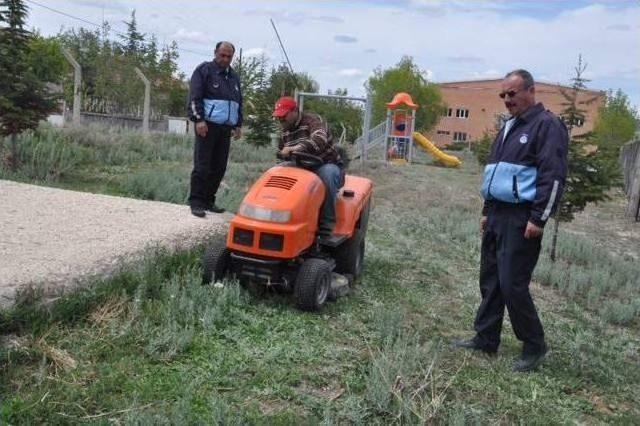 Seyitgazi de G&ouml;r&uuml;nt&uuml;l&uuml; Kirliliği Oluşturan Yabani Otlar Temizleniyor 2