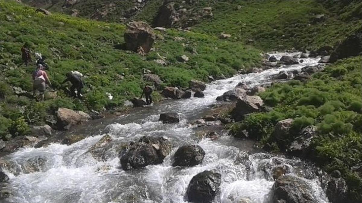 Anneler G&uuml;n&uuml;&rsquo;nde Pancar Topladılar
