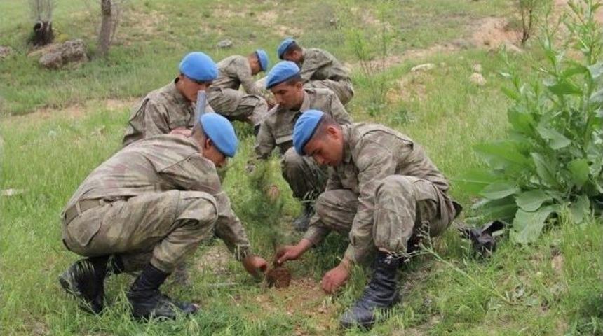 Mehmet&ccedil;ik &Ccedil;emişgezek'te Fidan Dikti