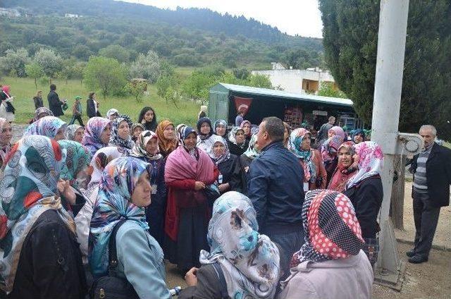 Bozüyük Belediyesi Kültür Gezileri Başladı