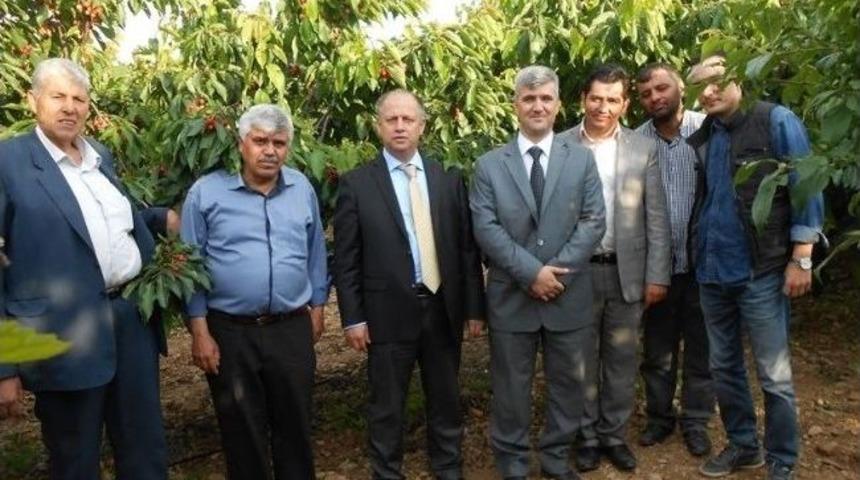 Şehzadeler Kaymakamı &Ccedil;orumluoğlu Dolu Vuran Alanları İnceledi