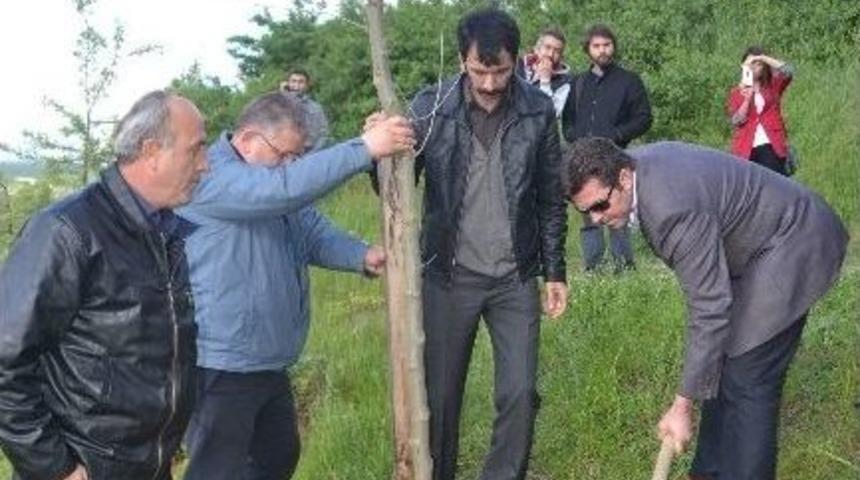 3 Fidan İ&ccedil;in 3 Fidan Diktiler