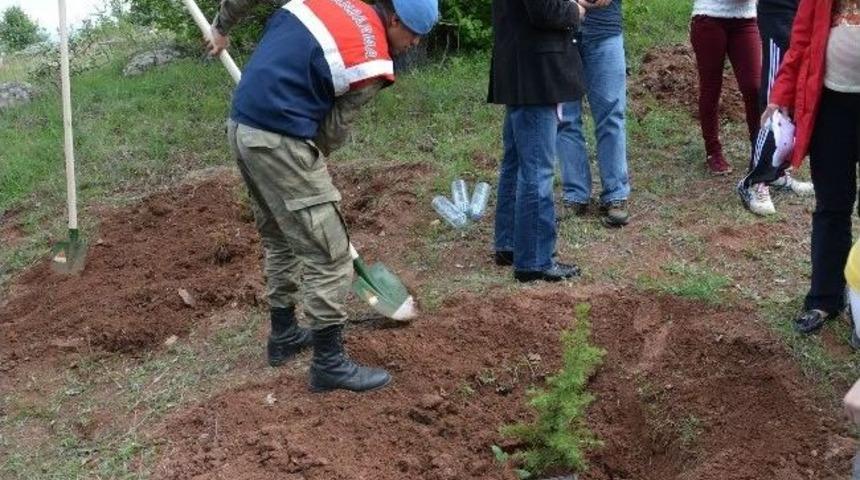 Jandarma Bin 500 Fidan Dikti
