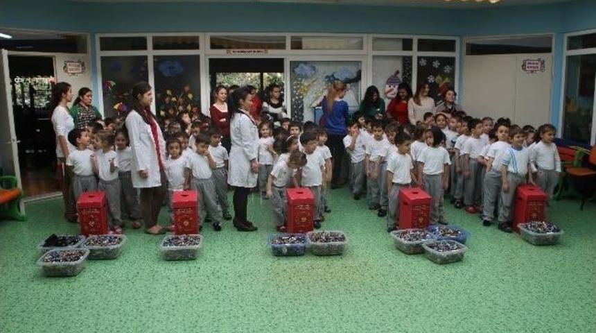 Atık Pillerin Yarısını Minikler Topladı