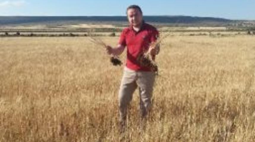 Kilis Ziraat Odası, Doğal Afetleri Değerlendirme Toplantısına Katılacak