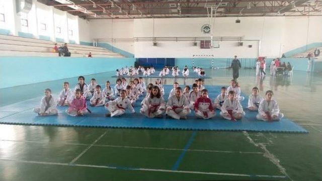 Sporcuların Taekwondo Kuşak Sınavı