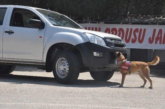 Jandarmanın 3 Silahşörleri