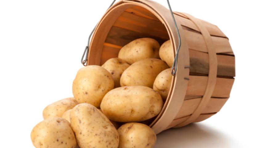 Gıdaların taze mi bayat mı olduğunu anlamanın yolları