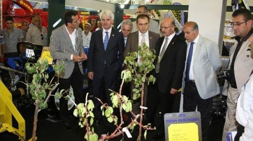 Yeni Toprak Kanunu Tarımda Verimliliği Artıracak