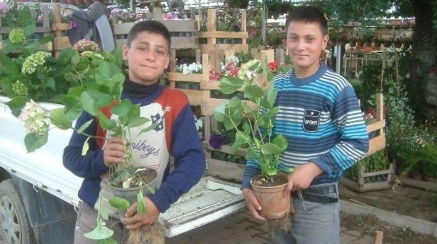 Burhaniye&rsquo;de &Ccedil;i&ccedil;ekler Okul Har&ccedil;lığı Oldu