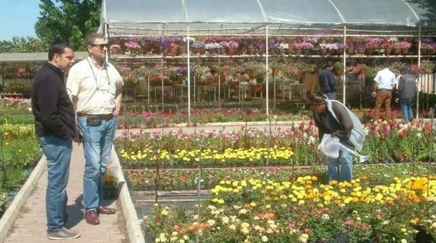 Burhaniye&rsquo;de &Ccedil;i&ccedil;ek&ccedil;iliğe Hollandalı &Ouml;vg&uuml;s&uuml;