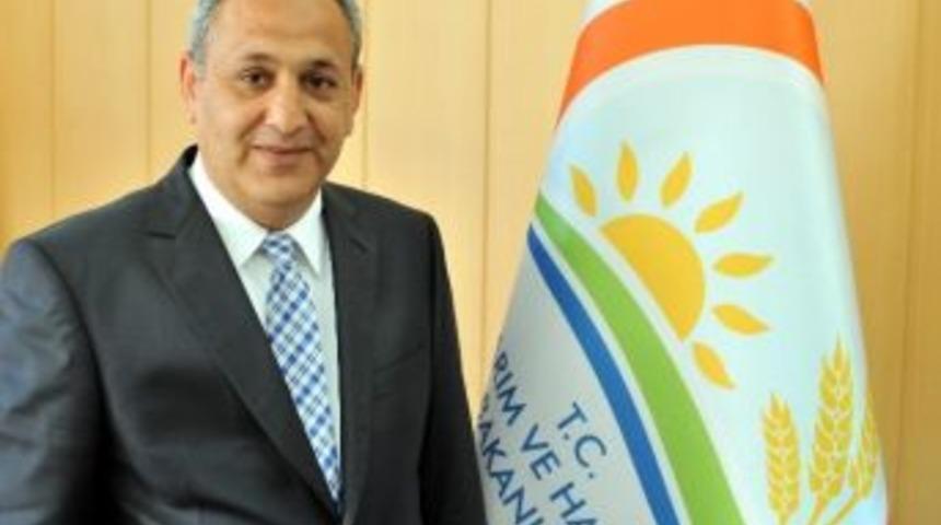 14 Mayıs D&uuml;nya &Ccedil;ift&ccedil;iler G&uuml;n&uuml;