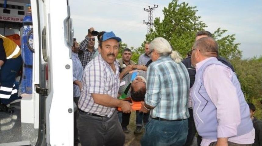 Tır Devrildi, Tonlarca Soya Zeytinliğe Sa&ccedil;ıldı