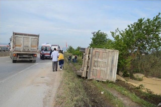 Tır Devrildi, Tonlarca Soya Zeytinliğe Saçıldı