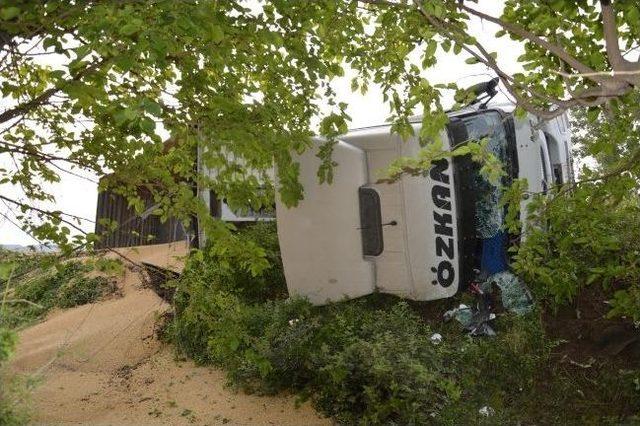 Tır Devrildi, Tonlarca Soya Zeytinliğe Saçıldı