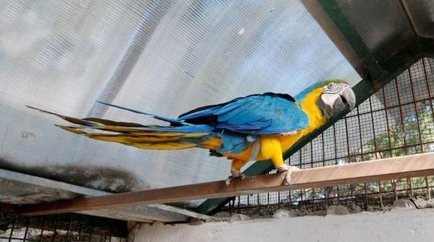 Hayvanat Bah&ccedil;esi&rsquo;nin Son Konuğu