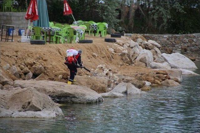 Edremit Belediyesi’nden İlaçlama Çalışması